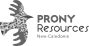 Prony Ressources